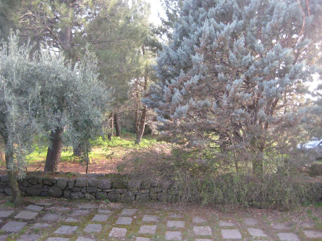 La Casa Del Cavaliere Villa Santa Maria di Licodia Kamer foto