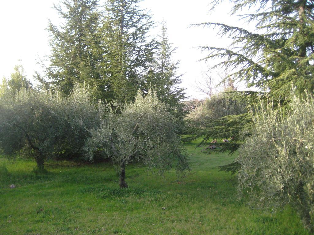 La Casa Del Cavaliere Villa Santa Maria di Licodia Kamer foto