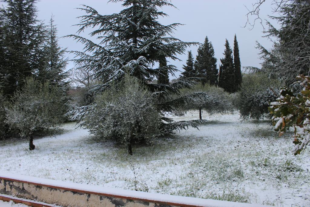 La Casa Del Cavaliere Villa Santa Maria di Licodia Buitenkant foto